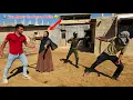 Lagu Attack on Amir’s House: Ava Faces the Second Wife 💔🔥
