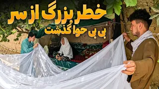 الوعده وفا  بی بی را از خطر نجات دادیم دندنها
