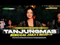 Lagu DJ TANJUNG MAS NINGGAL JANJI X MELODY V9 PARTY KARNAVAL STYLE SEK ASEK 