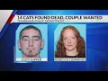 Couple wanted for animal cruelty following deaths of 14 cats abandoned in Texarkana home