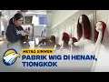 Download Lagu Metro Xinwen - Henan, Pusat Wig di Seluruh Dunia