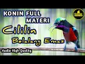 Download Lagu MATERI WAJIB ! KONIN GACOR FULL ISIAN TEMBAKAN CILILIN SAMBUNG BELALANG EMAS COCOK BUAT MASTERAN