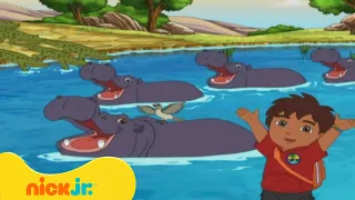 רוץ דייגו רוץ: מגיעים לאגם | ניק ג'וניור