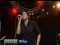 Wilco - Hummingbird @ Bonnaroo