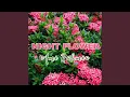 Lagu Night Flower