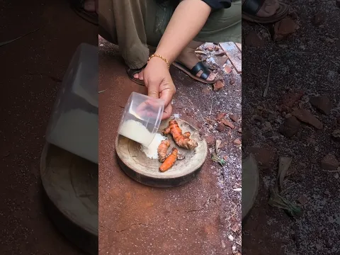 Rumah Sering Didatangi Ular? Begini Cara Ampuh Mengatasinya! #fyp #shorts #viralvideo