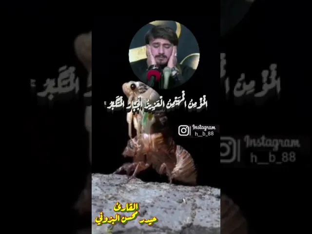 ⁣هو الله الذي لا إله إلا هو || بصوت القارئ حيدر محسن البزوني
