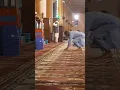 Download Lagu A pure kashmiri  accent AZAAN from jamia masjid Sgr 