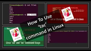 How to use TAC command in linux FunTalk360 English Linux Trick