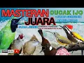 Lagu Suara Burung Masteran Cucak Ijo Full Tembakan Suara Jernih
