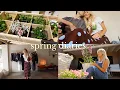 spring diaries backyard garden birt ay in LA home updates