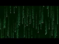 Matrix Animation in Processing