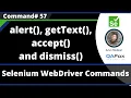 alert getText accept and dismiss commands - Selenium WebDriver