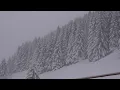 Download Lagu Blizzard Sounds. Snowstorm and Wolves Howling Sounds. 10 Hours of Winter Forest Ambience.