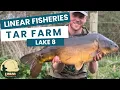 Linear Fisheries 48 hours on the Tar Farm Complex - Lake 8