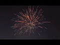 Golden willow 16's 