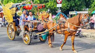 Download KUDA | KUDA DELMAN - NAIK KUDA | LAGU SELAMAT ULANG TAHUN, BALONKU ADA LIMA DAN WHEELS ON THE BUS MP3