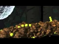 Decomposition and Nutrient Cycling