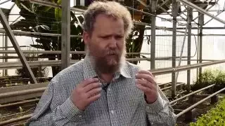 Youtube thumbnail for https://www.youtube.com/watch?v=5G0OweWJVcA