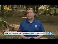Social distancing in parks pollen count