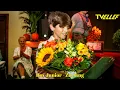 Download Lagu Roy Junior - Zu Jung  (Live TVEllef in Elsloo NL)