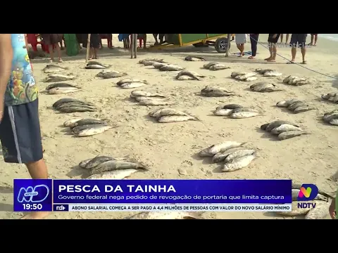 Pesca da tainha: Governo Federal nega pedido de revogação de portaria que limita captura