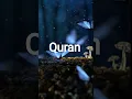 Download Lagu surah Nisa ayat 75-77 Urdu Quran translation #yutubeshorts #quranictranslation