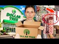 I Bought Dollar Tree New Products Some Are Weirdly Good