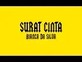 Download Lagu Bianca Da Silva - Surat Cinta