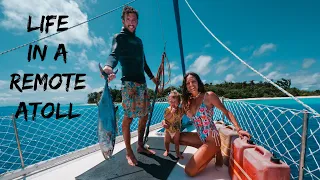 OUR VERY OWN ATOLLl!!! Surviving from the Ocean | CATCH & COOK: Dog tooth Tuna… Ep 281