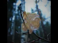 Equilibrium (ALLAY Remix)