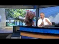 8-10-2020 WQAD Quad Cities Midwest Derecho Coverage Part 2