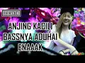 DJ TERBARU ANJING KACILI
