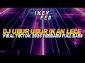 DJ UBUR UBUR IKAN LELE X MAMA MUDA VIRAL TIKTOK FULL SONG 2025