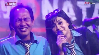 Download NEW MONATA - TAK PERNAH - ALFI NEW MONATA - DIFASOL AUDIO MP3