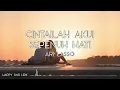 Download Lagu Ari Lasso - Cintailah Aku Sepenuh Hati (Lirik)