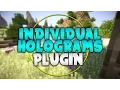 INDIVIDUAL HOLOGRAMS Minecraft Plugin Tutorial