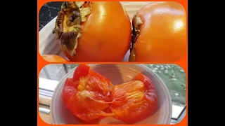 Download How to ripen up persimmons in 3-5 days+ why you should´nt eat crunchy persimmons MP3