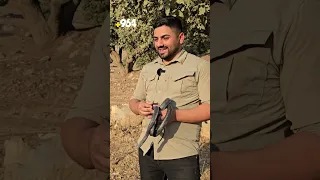 مارناسەکەی دوکان ماری پێوەیداوم ژەهرەکەی ئەوەندە خەست بوو ژیانم کەوتە مەترسیەوە 