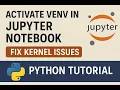 Activate venv in Jupyter Notebook Fix Kernel Issues Python Tutorial