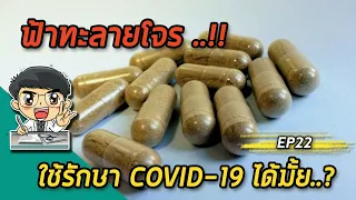 ทำไมการที่ฟ้าทะลายโจรยับยั้งไวรัสในหลอดทดลอง ถึงไม่แปลว่ามันจะใช้รักษาคนได้จริง