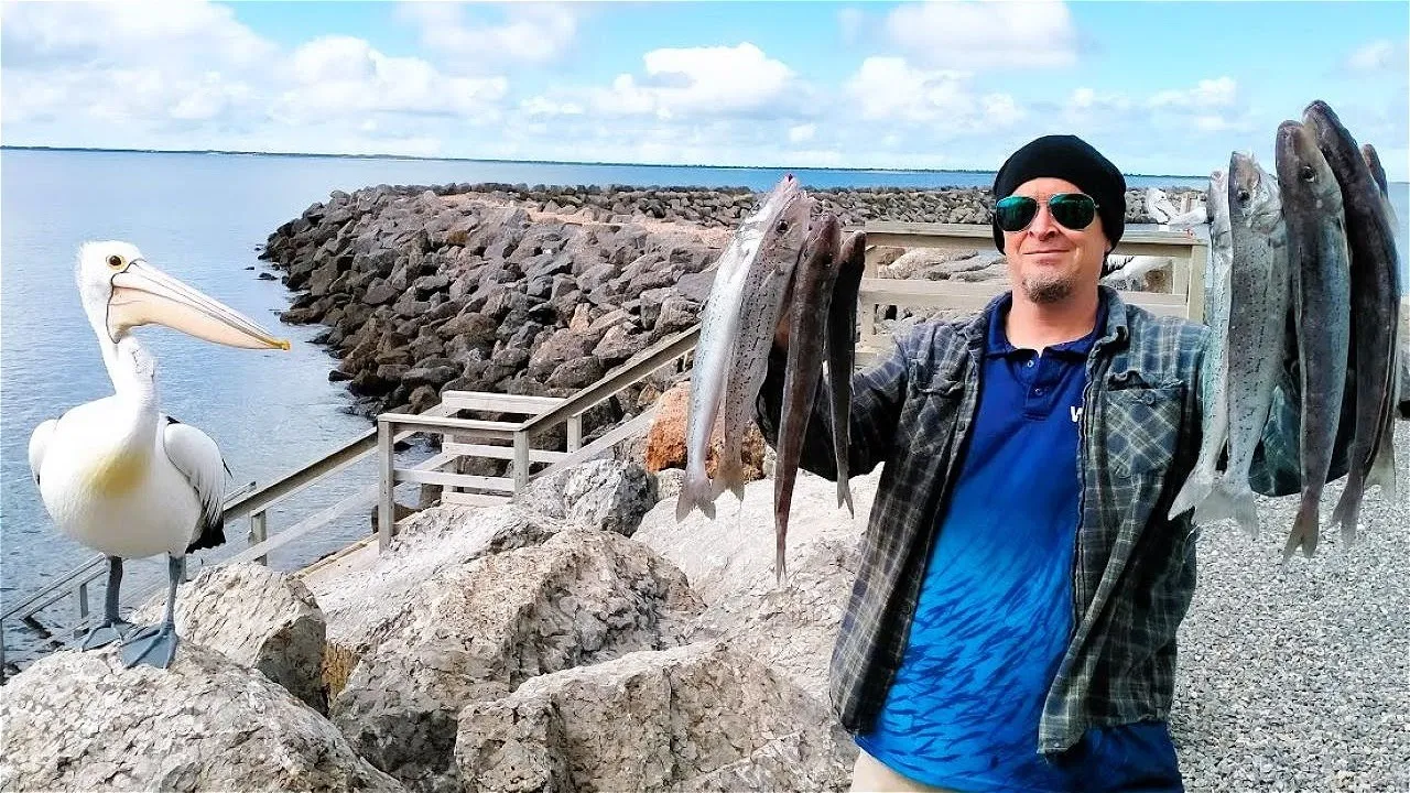 King George Whiting Bag Out at Point Turton!!