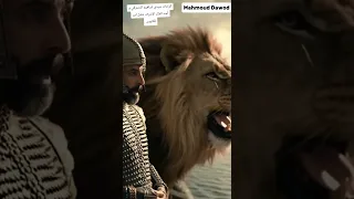 أحدي كرامات سيدي إبراهيم الدسوقي و أسد الملك الاشرف خليل ابن قلاوون دندنها