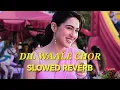 Dil Waale Chor - SLOWED REVERB | Aditya Rikhari | Shreya Ghoshal | Rochak | Pati Patni Aur Woh Do |
