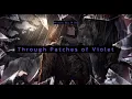 Download Lagu Through Patches of Violet but you put yourself in