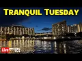 Live Tranquil Tuesday - Magic Kingdom Monorail Resorts