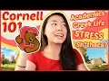 what you actually WANT to know about Cornell academics social life stress culture Katie Tracy