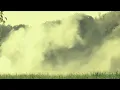 Hikaru Utada 「桜流し」Music Video(4K UPGRADE )