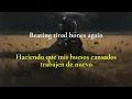 TOOL - Invincible (Lyrics + Sub español)
