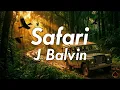 [10 Hours] - Safari - J Balvin - Perfect Loop